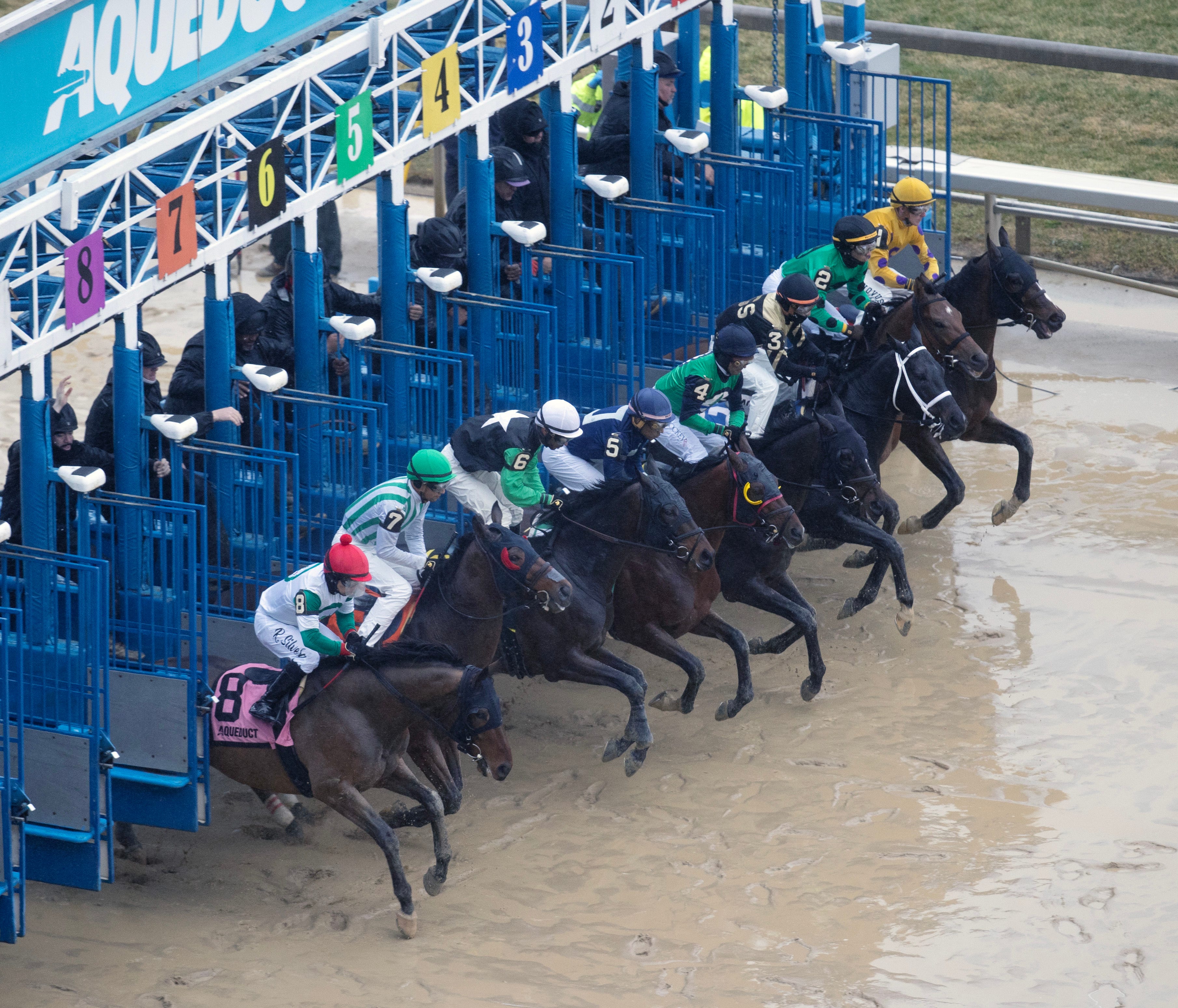 Total handle falls 28.1 percent at Aqueduct spring meet